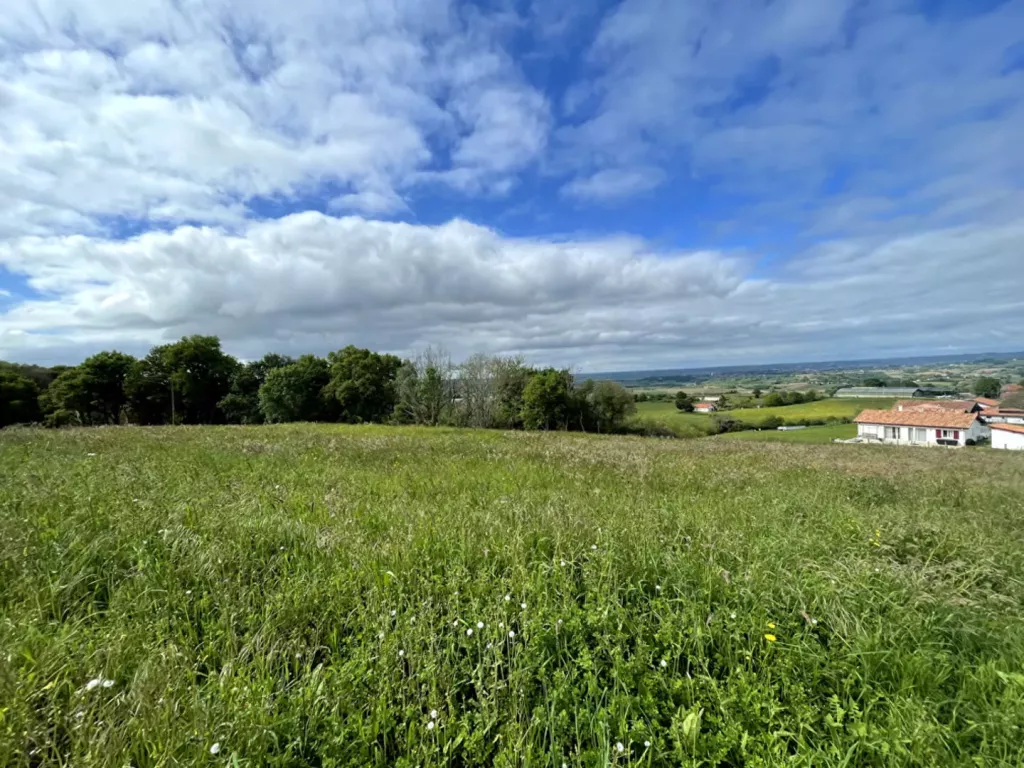 Photo 1 bien ref5339