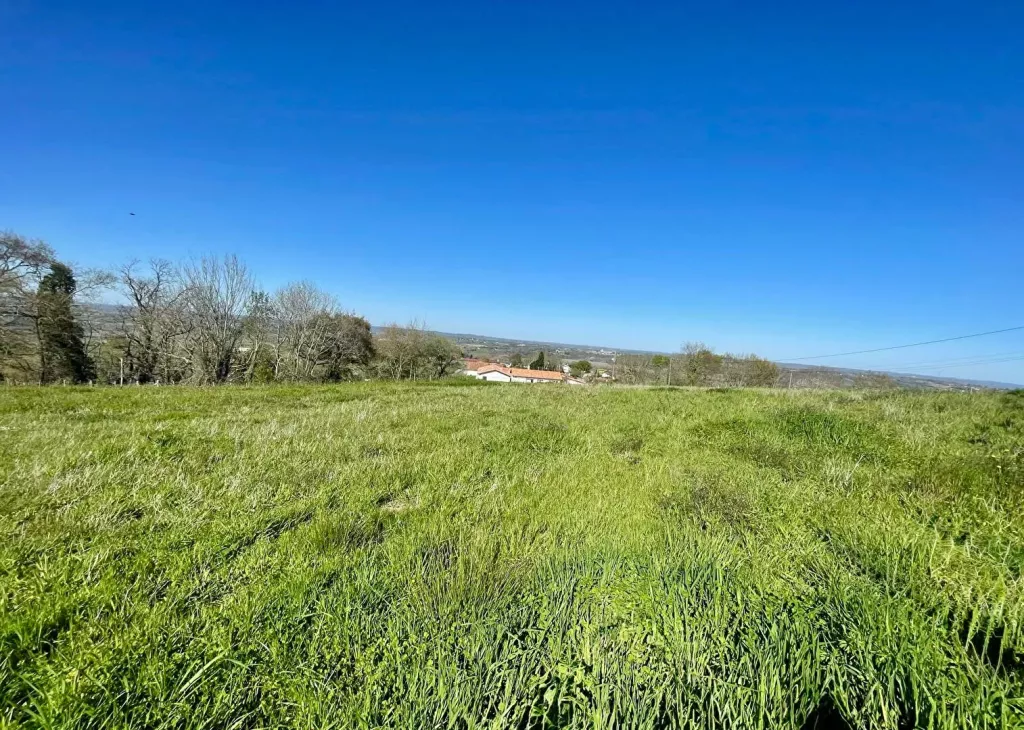 Photo du bien ref5339