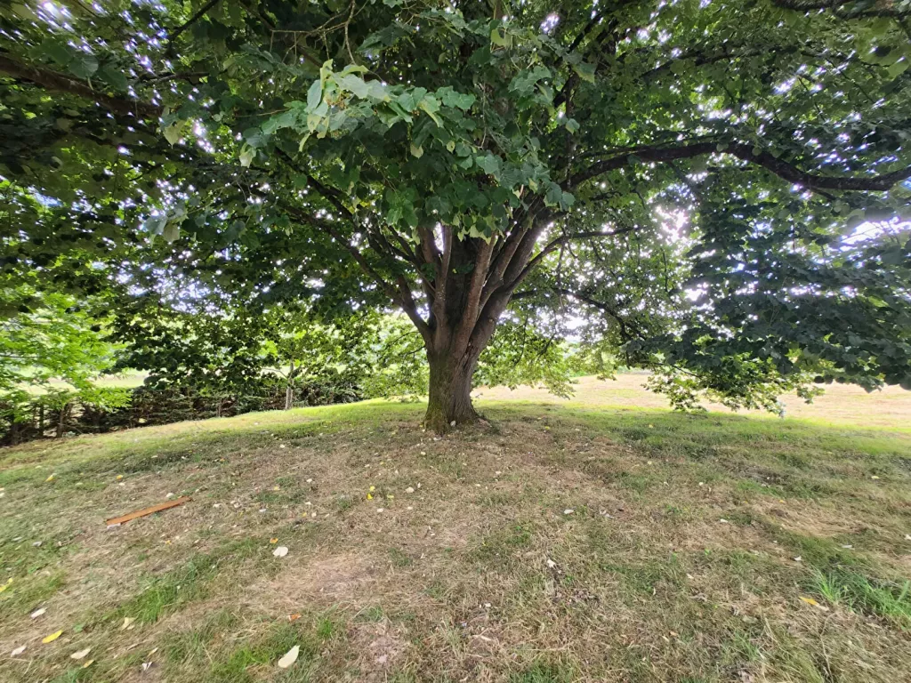 Photo du bien ref5372