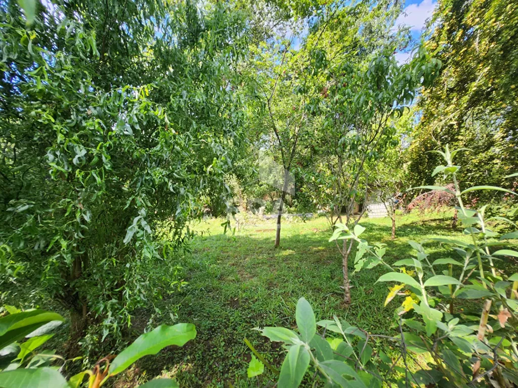 Photo du bien ref5388